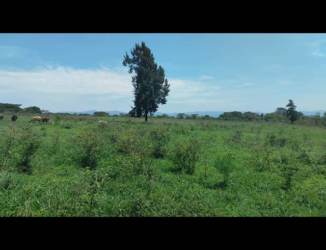 5HA FARM FOR SALE IN ELIM